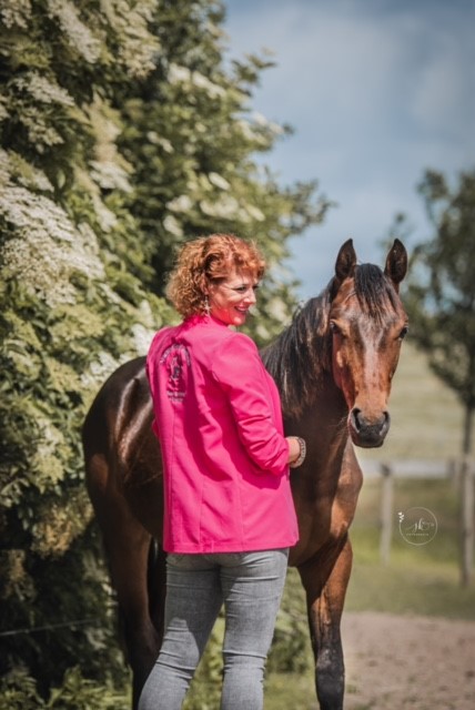 Paard