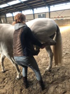 Stretchen met paard